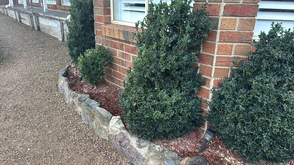 Garden material piled near the house, a conducive condition for termites, found during a building and pest inspection in Darley