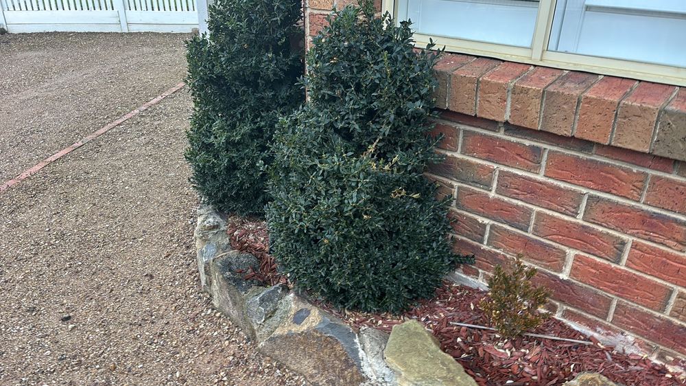 Building and Pest Inspections in Ballarat