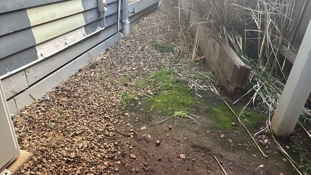 Garden beds, downpipes and damp ground: the pest risks around a Ballarat home