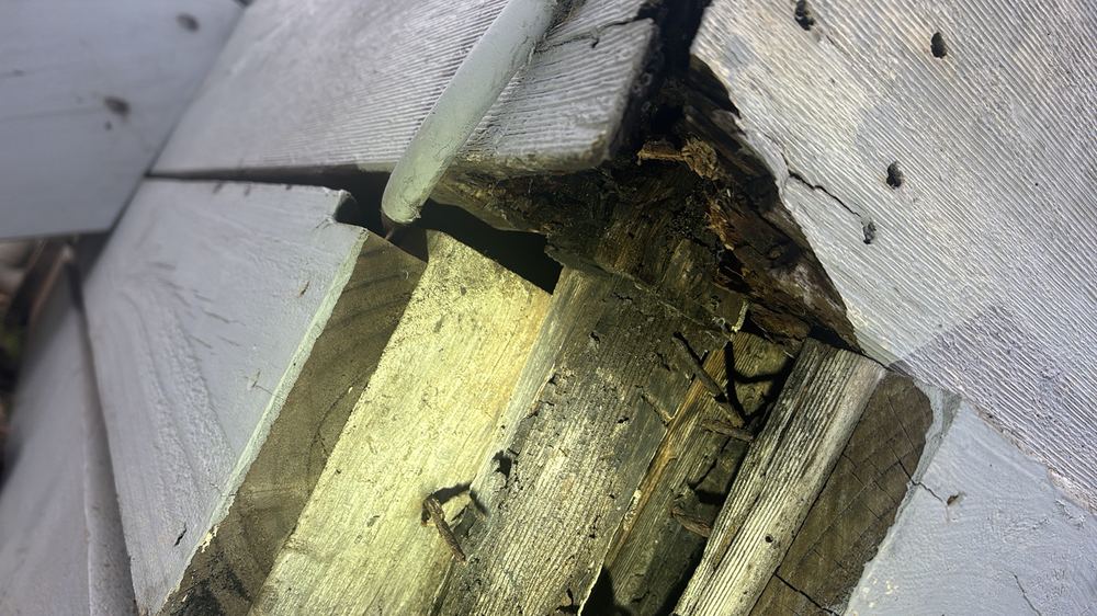 Timber Pest Inspections in Ballarat