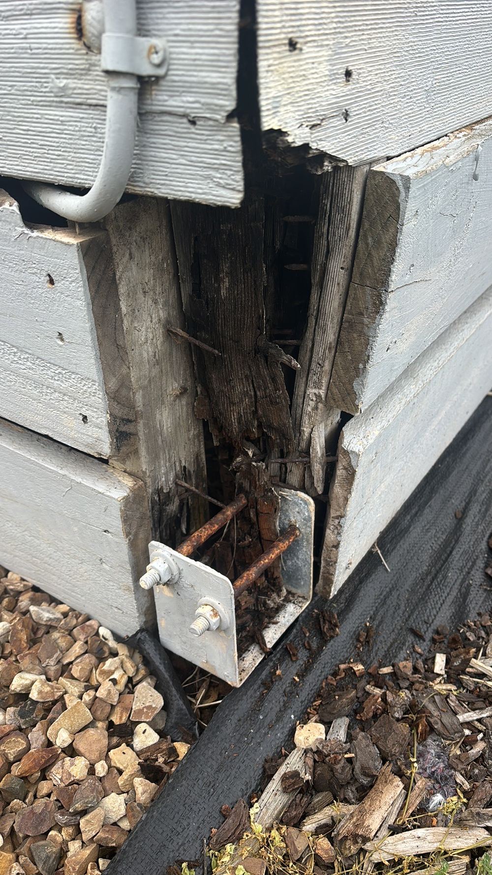 Fungal decay softening external timber, a timber pest finding in its own right, found during a building and pest inspection in Bacchus Marsh