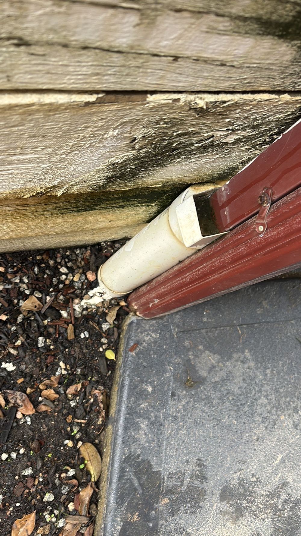 Water and sand backing up from a blocked underground stormwater pipe, found during a pre-purchase inspection in Darley