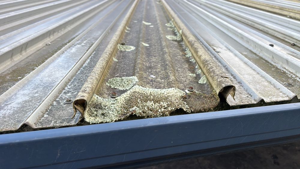 Pre-Sale Inspections in Ballarat